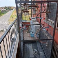 Voliera con accessori