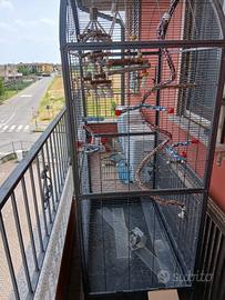 Voliera con accessori