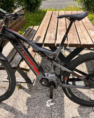 Bicicletta mtb