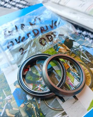 cuscinetti serie sterzo giant ODR 2,nuovi