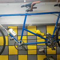 Tandem vintage Francesco Moser