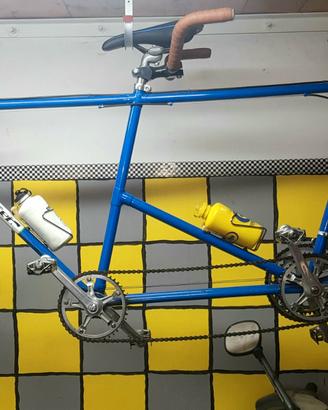 Tandem vintage Francesco Moser