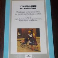 L'INSEGNANTE DI SOSTEGNO PER BAMBINI CON HANDICAP