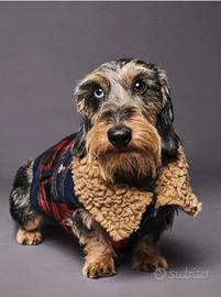 Giubbotto/Gilet Dsquared2