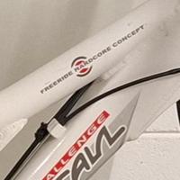 bici da downhill  mountain challege