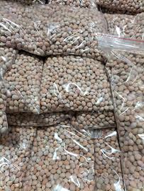 Noccioli di ciliegio