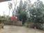 Immagine 26