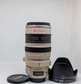Canon 28-300 f/3.5-5.6
