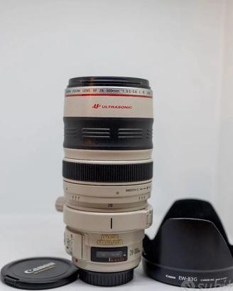 Canon 28-300 f/3.5-5.6