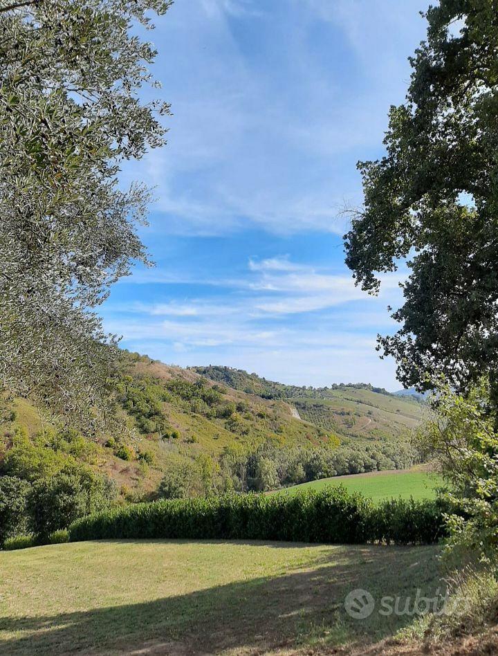 Terreno con rudere - Vista 4