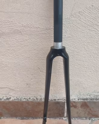 Forcella carbonio corsa disc