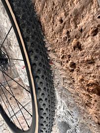Cerchi Fulcrum racing completi gravel
