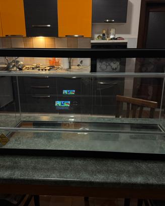 Terrario per rettili