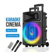 Cassa bluetooth portatile karaoke +2 microfoni 
