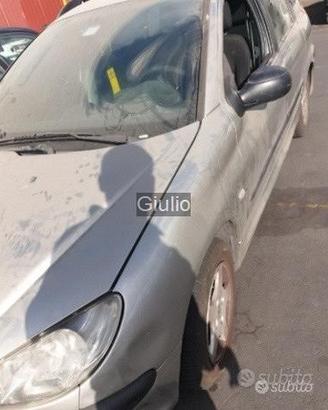 Per Peugeot 206 sw i seguenti ricambi