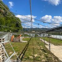 Serra casetta di legno carrelli
