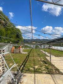 Serra casetta di legno carrelli