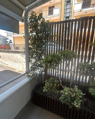 Falso Gelsomino con fioriera e pannello dogato