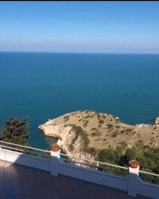 Appartamenti a picco sul mare last 22-29