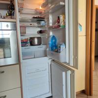 FRIGO DA INCASSO REX h. 177 cm