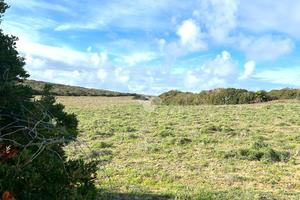 TER. AGRICOLO A CALASETTA