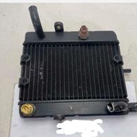 Radiatore Yamaha majesty 250