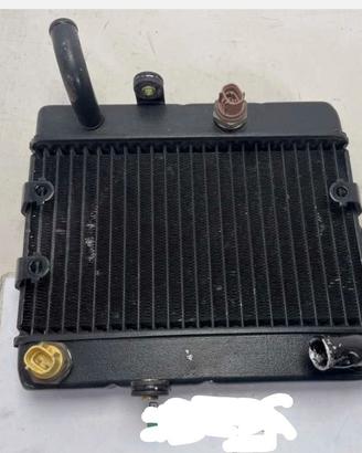 Radiatore Yamaha majesty 250