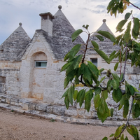 Trullo vicino a Polignano