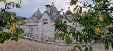 Trullo vicino a Polignano