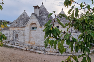 Trullo vicino a Polignano