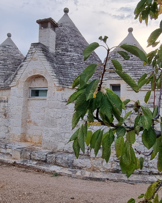 Trullo vicino a Polignano