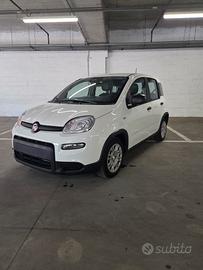fiat panda pandina hybrid