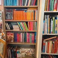 Lotto stock 20 libri per bambini o ragazzi