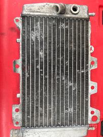 Radiatore Runner 180