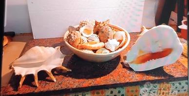 CONCHIGLIE E ZUPPIERA VINTAGE