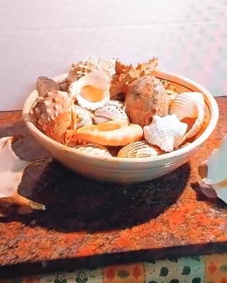 CONCHIGLIE E ZUPPIERA VINTAGE