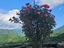 Immagine 14