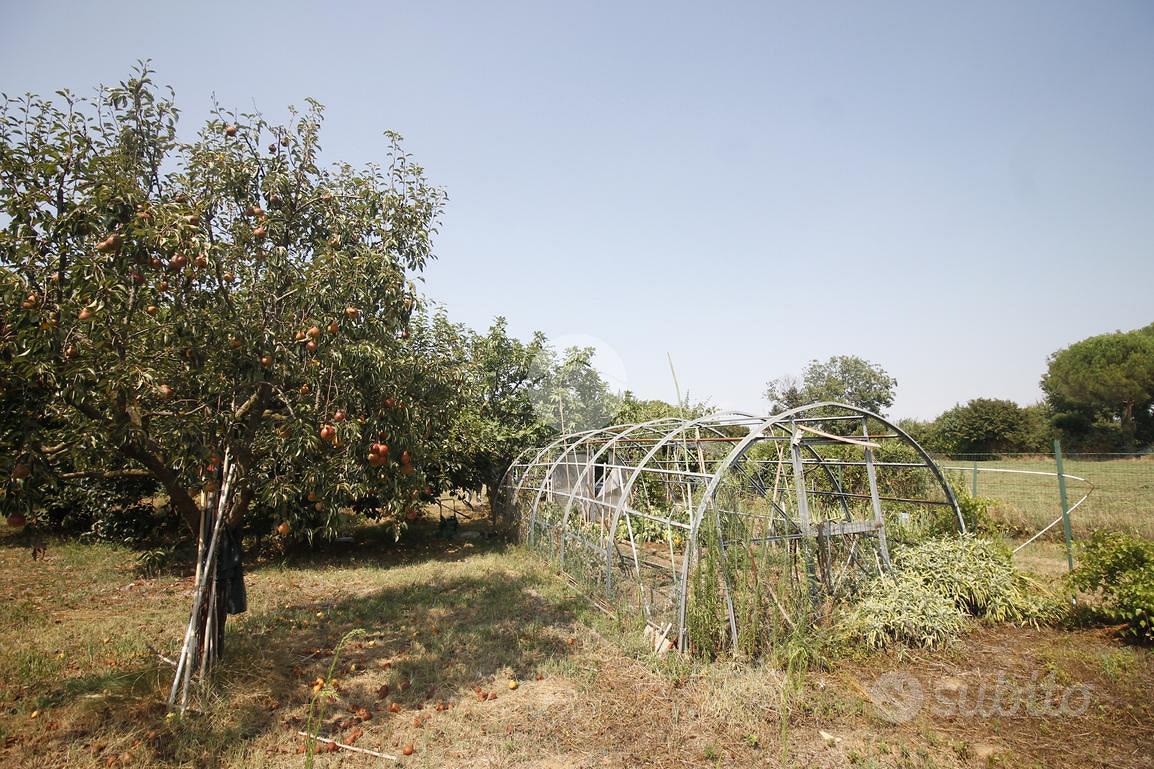 TER. AGRICOLO A GARBAGNATE MILANESE - Vista 2