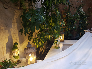 A non residenti casa in Ortigia