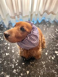 Snood - Paraorecchie Cocker regolabile
