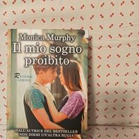 libro: il mio sogno proibito 