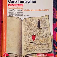 Caro Immaginar 9788808937001