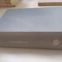 Thomas Mann. I Buddenbrock