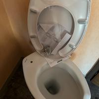 Water rialzato con copri tazza