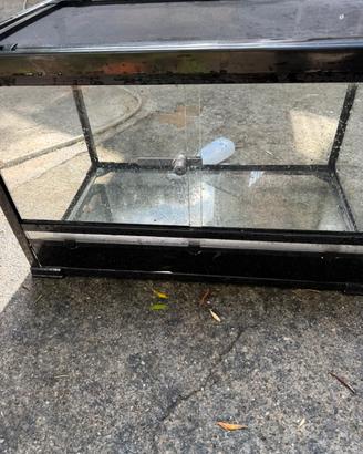 teca in vetro con serratura e vetri scorrevoli