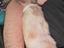 Immagine 4