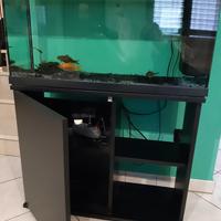 ACQUARIO 93 LT CON SUPPORTO