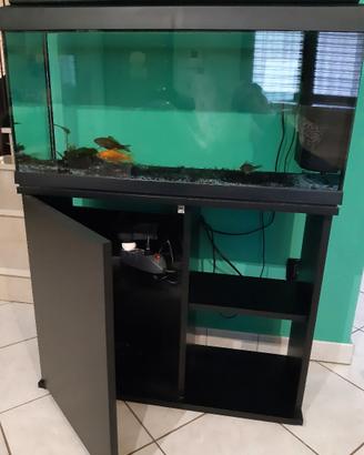 ACQUARIO 93 LT CON SUPPORTO