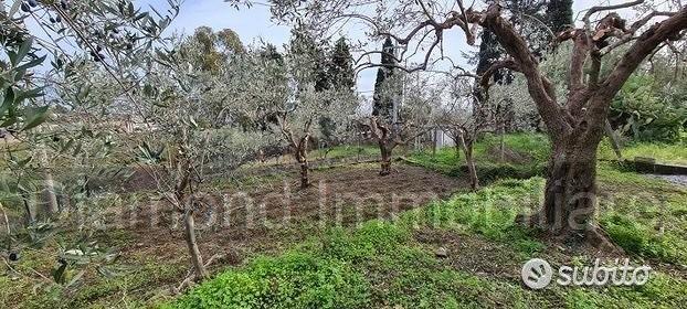 Terreno 1300 mq in parte edificabile Piedimonte - Vista 2