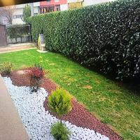 Appartamento con giardino piano terra annuale